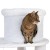 drapak-dla-kota-white-tiger-xxl-6