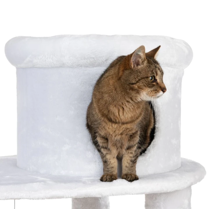 drapak-dla-kota-white-tiger-xxl-6