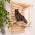 drapak-dla-kota-natural-paradise-kreativ-mocowany-do-sciany-dahlia-kremowy-14