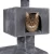 c8.webp