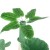 drapak-dla-kota-tiaki-nature-green-desert-zielony-brazowy-2