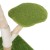 drapak-dla-kota-tiaki-nature-willow-zielony-9