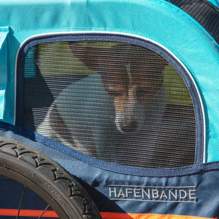przyczepka-rowerowa-hafenbande-cabby-s-z-dwoma-sprzegami-1
