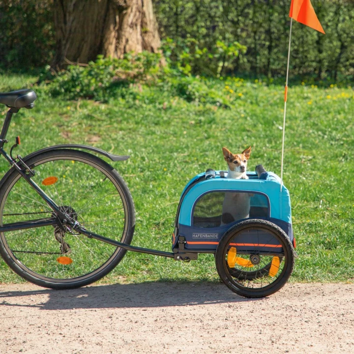 przyczepka-rowerowa-hafenbande-cabby-s-z-dwoma-sprzegami-7