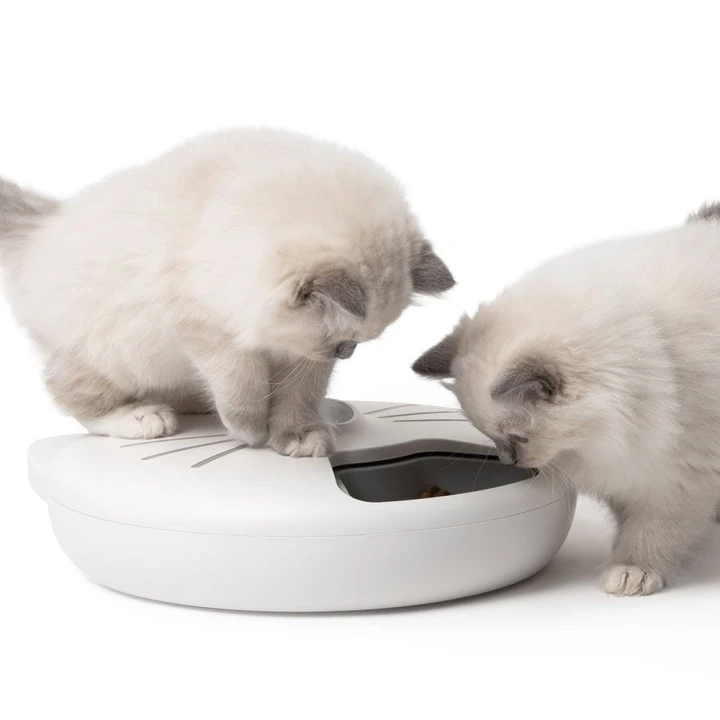 automatyczny-karmnik-catit-pixi-smart-6-meal-dla-kotow-15