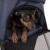 wozek-dla-zwierzat-sporty-pet-malych-psow-i-kotow-transport-wygoda-15