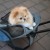 torba-transportowa-kerbl-pet-trolley-vacation-dla-kotow-3