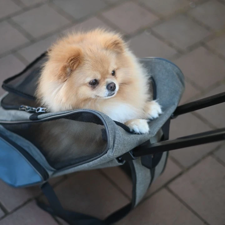 torba-transportowa-kerbl-pet-trolley-vacation-dla-kotow-3