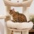 drapak-dla-kota-siegajacy-sufitu-natural-paradise-mocowany-do-amaryllis-jasnoszary-6