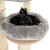 drapak-dla-kota-siegajacy-sufitu-natural-paradise-mocowany-do-amaryllis-kremowy-21