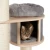 Magnolia5.webp