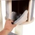 Magnolia6.webp