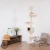 Magnolia2.webp