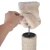Magnolia8.webp