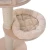 Magnolia13.webp