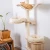Magnolia 5.webp