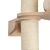Magnolia 11.webp