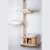 Magnolia 13.webp