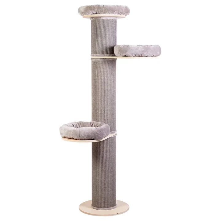 Jasmine XXL3.webp