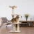 Orchid 2.webp