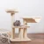 Amaryllis 2.webp