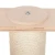 Amaryllis 11.webp