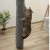 drapak-dla-kota-kerbl-pet-worek-do-wspinaczki-carpet-kotow-szary-4