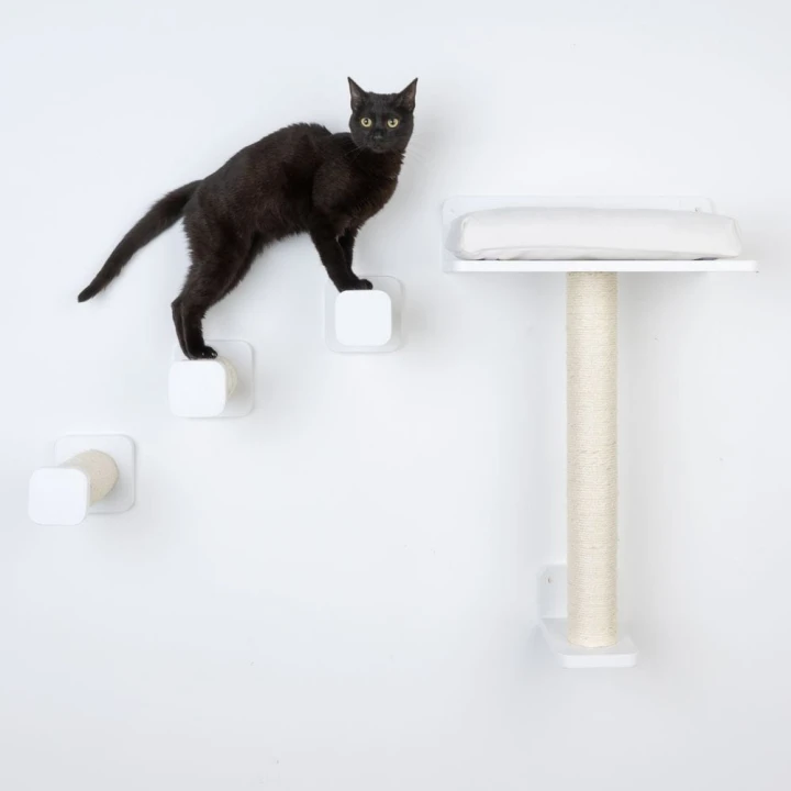 drapak-dla-kota-modern-living-zestaw-startowy-san-francisco-15