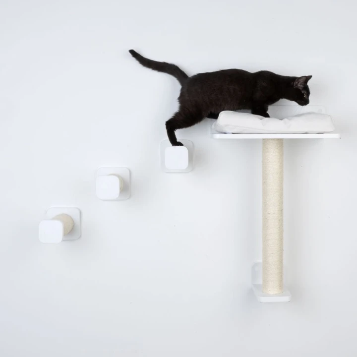 drapak-dla-kota-modern-living-zestaw-startowy-san-francisco-17