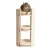 Lily 10.webp