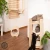 Lily 11.webp