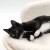 modern-living-sofa-osaka-dla-kotow-bialy-5