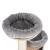 Magnolia L 7.webp
