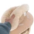 Magnolia L 11.webp