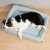 petkit-legowisko-dla-psa-four-season-jasnoniebieskie-7