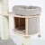 Magnolia13.webp