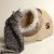 trixie-minou-budka-dla-kota-dla-kotow-bezowy-5