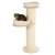 Jasmine 19.webp