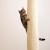 akcesorium-kerbl-pet-worek-wspinaczkowy-climber-dla-kota-psow-i-kotow-bez-3