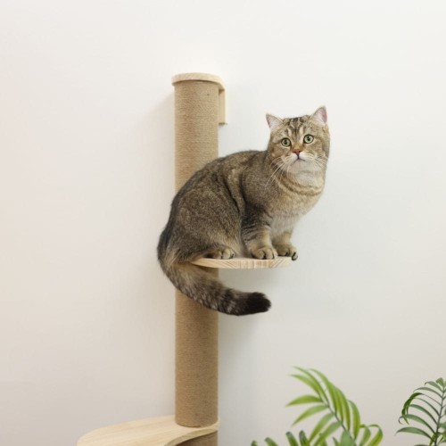 akcesorium-kerbl-pet-drapak-slupek-timber-dla-psow-i-kotow-naturalny-2