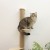 akcesorium-kerbl-pet-drapak-slupek-timber-dla-psow-i-kotow-naturalny-2