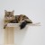 akcesorium-kerbl-pet-drapak-scienny-dla-kota-timber-psow-i-kotow-naturalny-szary-5