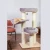 Amaryllis 4.webp
