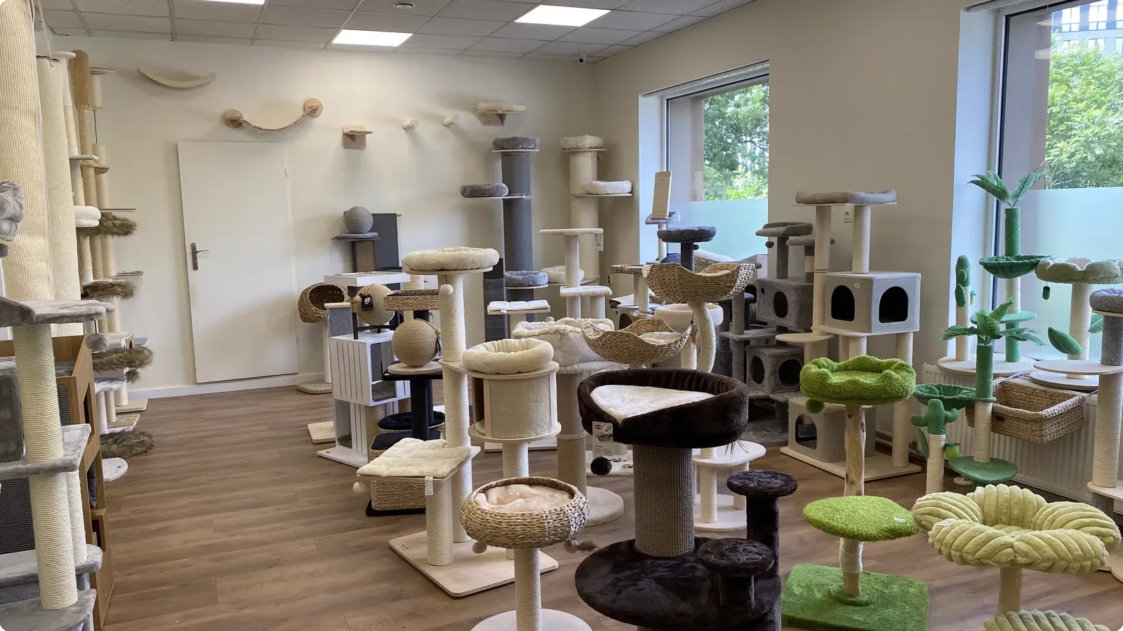 Salon sprzedaży z drapakami dla kotów – Catlit Wrocław