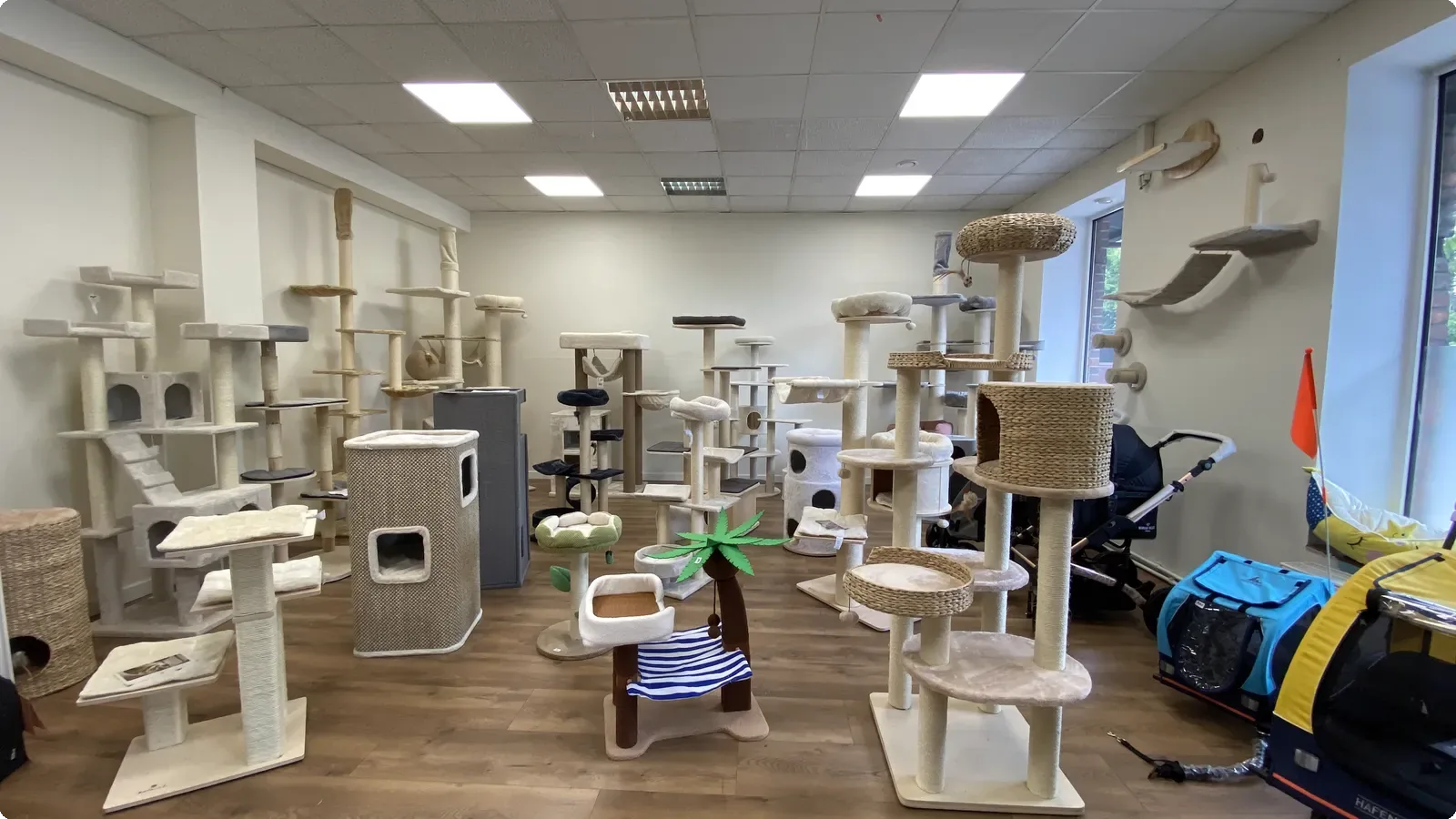 Showroom z drapakami dla kotów w sklepie stacjonarnym Catlit Wrocław