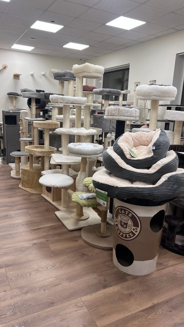 Showroom Catlit Wrocław — wybór drapaków