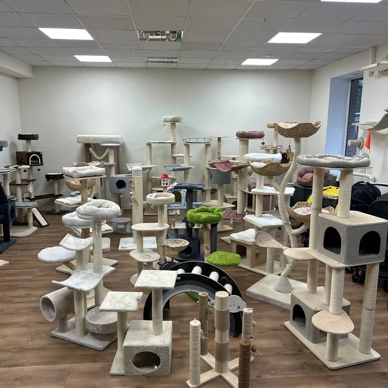 Sala wystawowa Catlit wypełniona drapakami dla kotów