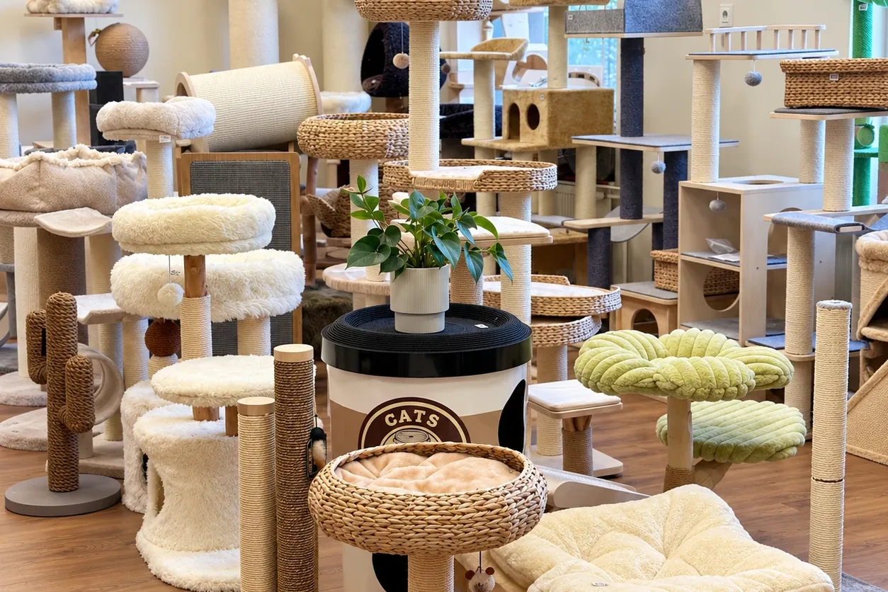 Showroom Catlit we Wrocławiu, dziesiątki drapaków i legowisk ustawionych obok siebie